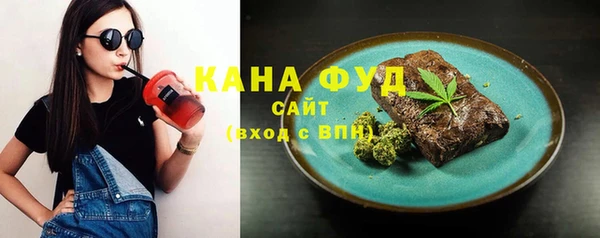МДПВ Инсар