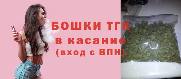 МДПВ Инсар