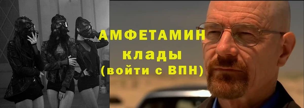 МДПВ Инсар