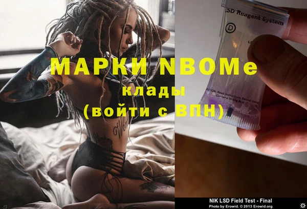 МДПВ Инсар