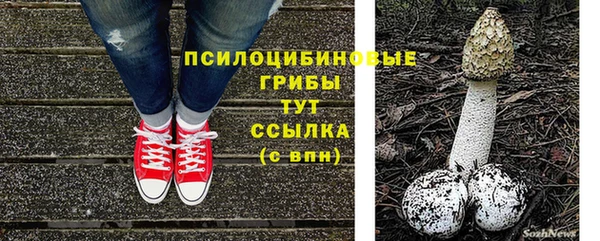 мет Осинники
