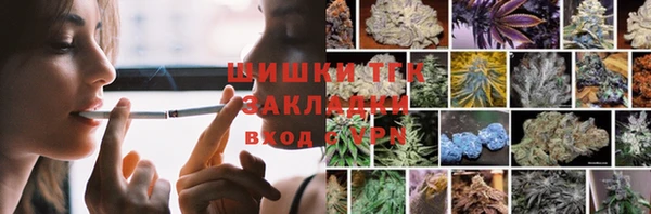 МДПВ Инсар