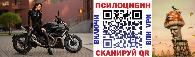 Купить где  Дубовка  Галлюциногенные грибы ЛСД 